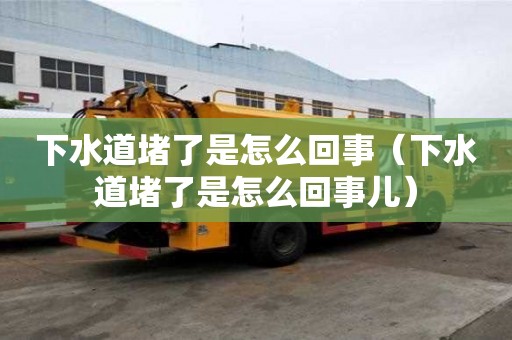 下水道堵了是怎么回事（下水道堵了是怎么回事兒）