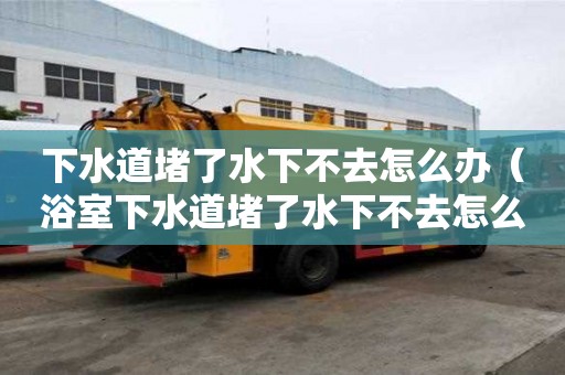 下水道堵了水下不去怎么辦（浴室下水道堵了水下不去怎么辦）