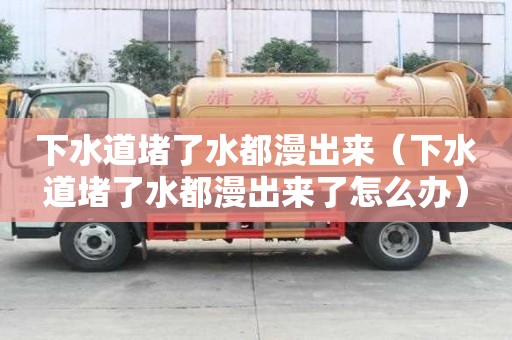 下水道堵了水都漫出來（下水道堵了水都漫出來了怎么辦）