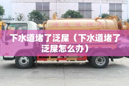 下水道堵了泛屎(下水道堵了泛屎怎么辦) 下水道堵了泛屎(下水道堵了泛屎怎么辦)