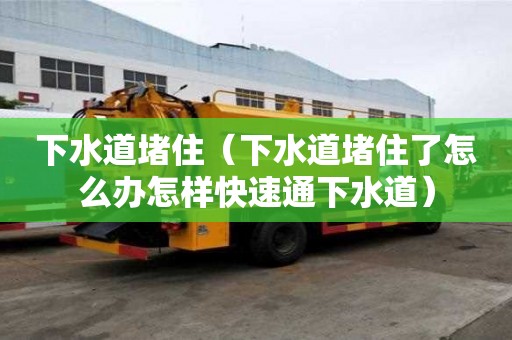 下水道堵住（下水道堵住了怎么辦怎樣快速通下水道）