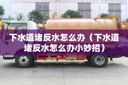 下水道堵反水怎么辦（下水道堵反水怎么辦小妙招）