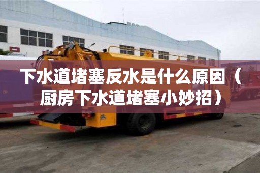 下水道堵塞反水是什么原因（廚房下水道堵塞小妙招）