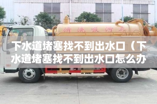 下水道堵塞找不到出水口（下水道堵塞找不到出水口怎么辦）