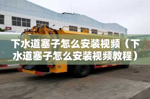 下水道塞子怎么安裝視頻（下水道塞子怎么安裝視頻教程）