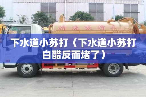 下水道小蘇打（下水道小蘇打白醋反而堵了）