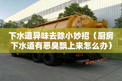下水道異味去除小妙招(廚房下水道有惡臭飄上來(lái)怎么辦) 下水道異味去除小妙招(廚房下水道有惡臭飄上來(lái)怎么辦)