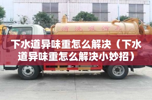 下水道異味重怎么解決（下水道異味重怎么解決小妙招）