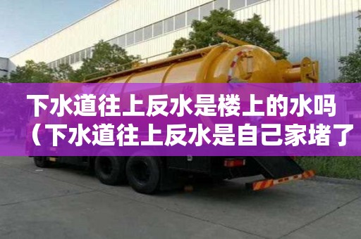 下水道往上反水是樓上的水嗎(下水道往上反水是自己家堵了嗎) 下水道往上反水是樓上的水嗎(下水道往上反水是自己家堵了嗎)