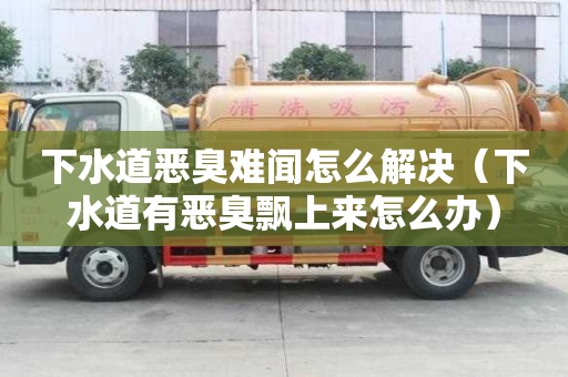 下水道惡臭難聞怎么解決（下水道有惡臭飄上來怎么辦）