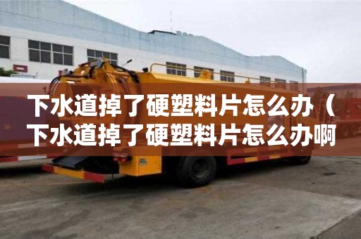 下水道掉了硬塑料片怎么辦（下水道掉了硬塑料片怎么辦啊）