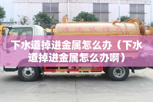 下水道掉進金屬怎么辦（下水道掉進金屬怎么辦啊）