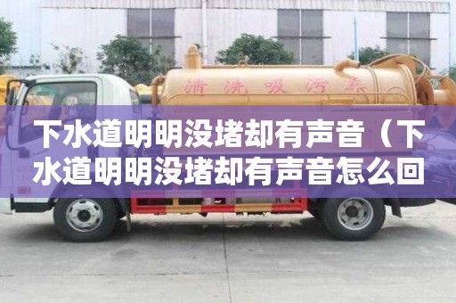 下水道明明沒堵卻有聲音（下水道明明沒堵卻有聲音怎么回事）