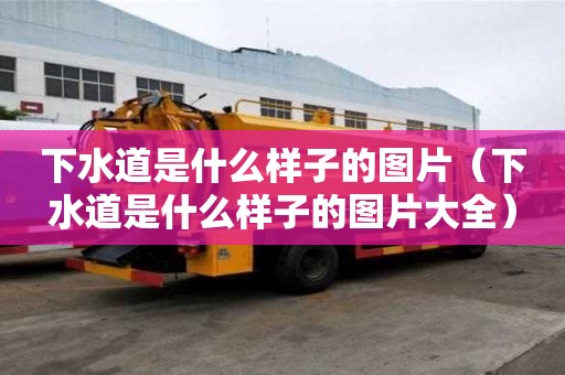 下水道是什么樣子的圖片（下水道是什么樣子的圖片大全）