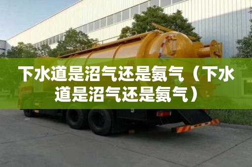 下水道是沼氣還是氨氣（下水道是沼氣還是氨氣）
