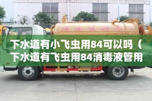 下水道有小飛蟲用84可以嗎（下水道有飛蟲用84消毒液管用嗎）