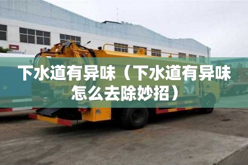 下水道有異味（下水道有異味怎么去除妙招）