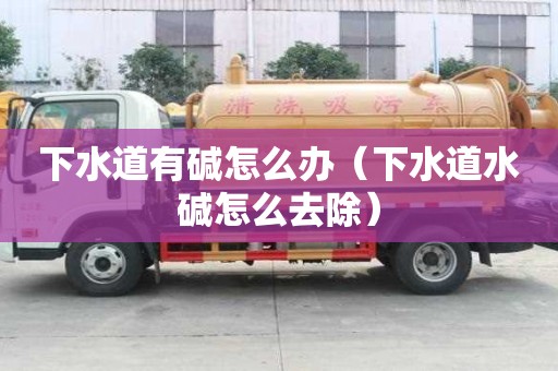 下水道有堿怎么辦（下水道水堿怎么去除）
