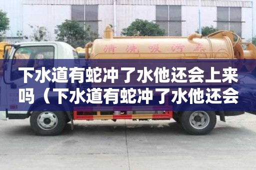 下水道有蛇沖了水他還會上來嗎（下水道有蛇沖了水他還會上來嗎為什么）