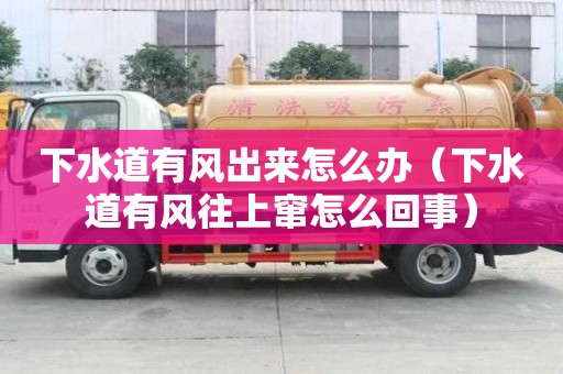 下水道有風出來怎么辦（下水道有風往上竄怎么回事）