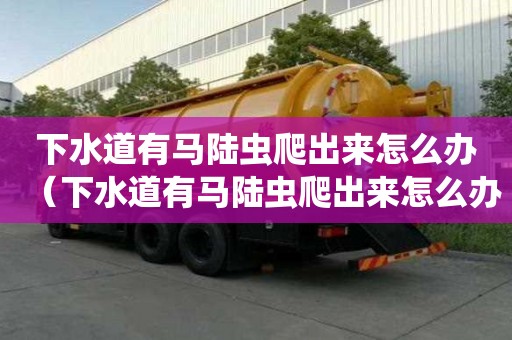 下水道有馬陸蟲爬出來怎么辦（下水道有馬陸蟲爬出來怎么辦啊）