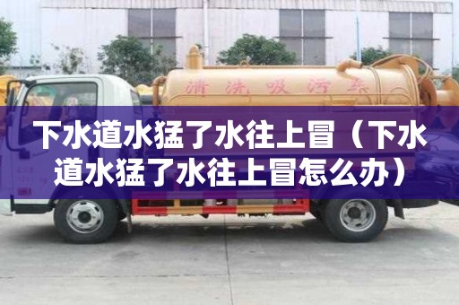 下水道水猛了水往上冒（下水道水猛了水往上冒怎么辦）