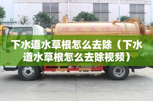 下水道水草根怎么去除（下水道水草根怎么去除視頻）