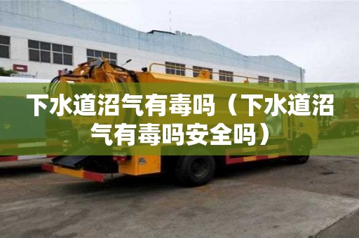 下水道沼氣有毒嗎（下水道沼氣有毒嗎安全嗎）
