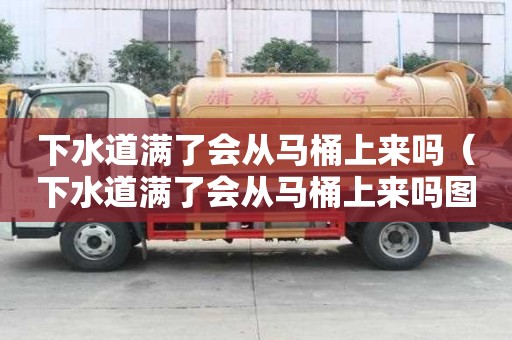 下水道滿了會從馬桶上來嗎（下水道滿了會從馬桶上來嗎圖片）