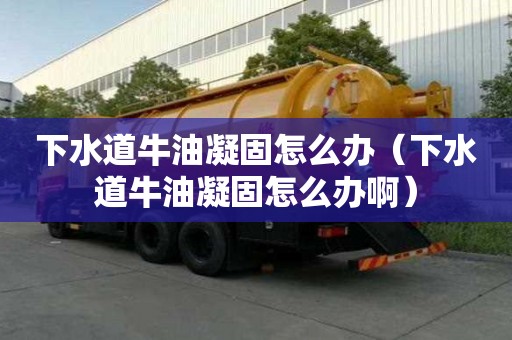下水道牛油凝固怎么辦（下水道牛油凝固怎么辦啊）
