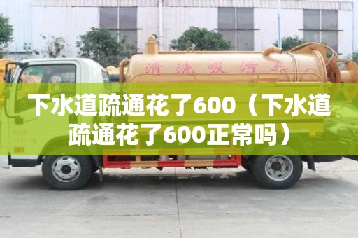 下水道疏通花了600（下水道疏通花了600正常嗎）