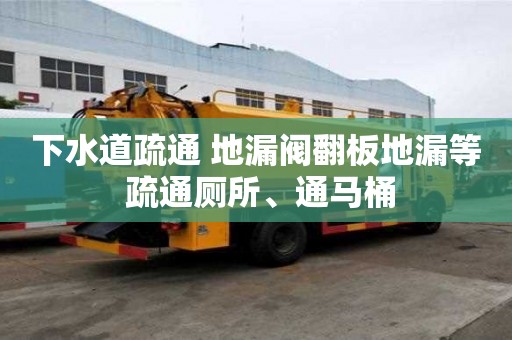 下水道疏通 地漏閥翻板地漏等 疏通廁所、通馬桶 下水道疏通 地漏閥翻板地漏等 疏通廁所、通馬桶
