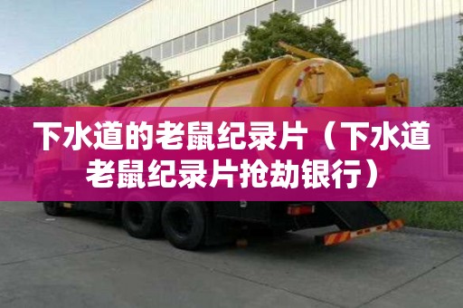 下水道的老鼠紀錄片（下水道老鼠紀錄片搶劫銀行）