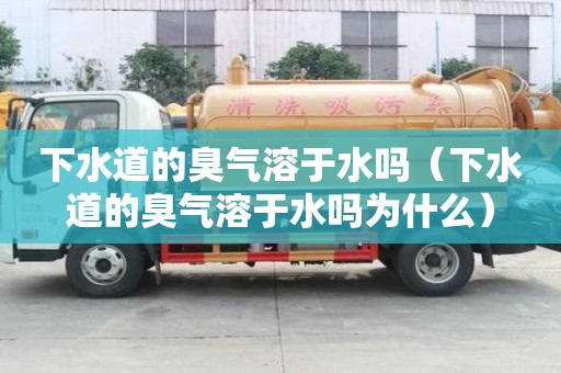 下水道的臭氣溶于水嗎（下水道的臭氣溶于水嗎為什么）