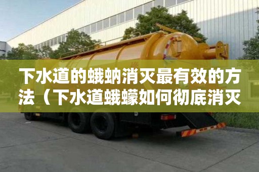 下水道的蛾蚋消滅最有效的方法（下水道蛾蠓如何徹底消滅）