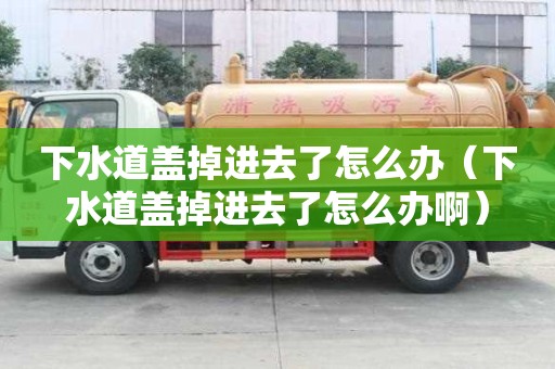 下水道蓋掉進去了怎么辦（下水道蓋掉進去了怎么辦啊）
