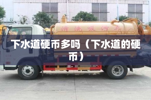 下水道硬幣多嗎（下水道的硬幣）