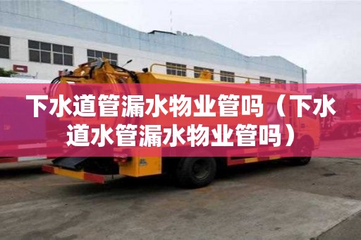 下水道管漏水物業管嗎（下水道水管漏水物業管嗎）