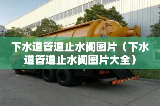 下水道管道止水閥圖片（下水道管道止水閥圖片大全）