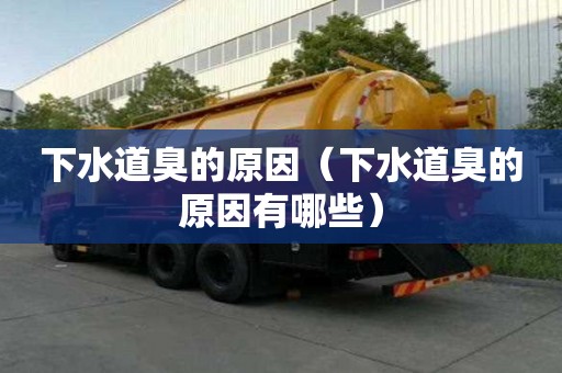 下水道臭的原因（下水道臭的原因有哪些）