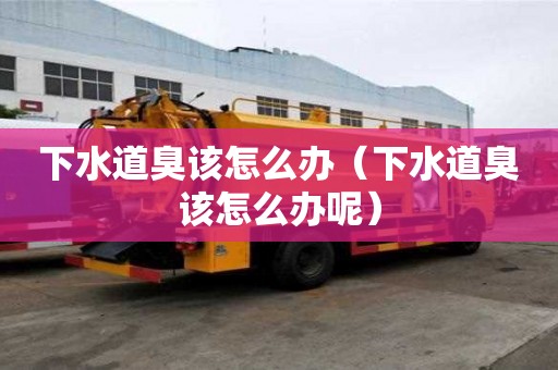 下水道臭該怎么辦（下水道臭該怎么辦呢）