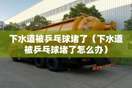下水道被乒乓球堵了（下水道被乒乓球堵了怎么辦）