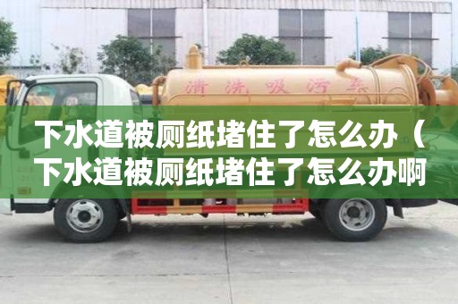 下水道被廁紙堵住了怎么辦（下水道被廁紙堵住了怎么辦啊）