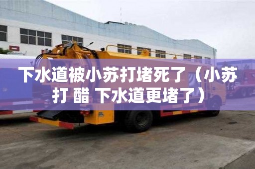 下水道被小蘇打堵死了（小蘇打 醋 下水道更堵了）