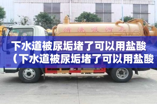 下水道被尿垢堵了可以用鹽酸（下水道被尿垢堵了可以用鹽酸嗎）