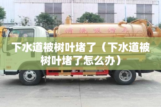 下水道被樹葉堵了（下水道被樹葉堵了怎么辦）