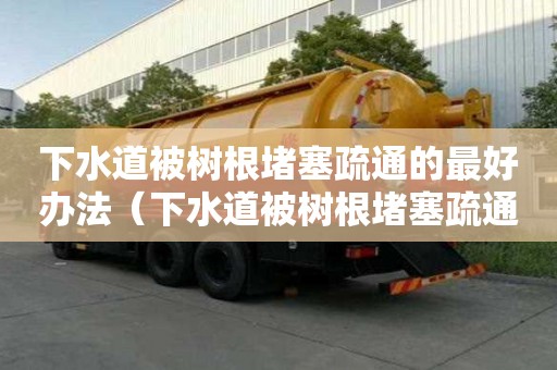 下水道被樹根堵塞疏通的最好辦法（下水道被樹根堵塞疏通的最好辦法圖片）