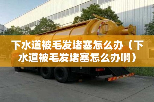 下水道被毛發堵塞怎么辦（下水道被毛發堵塞怎么辦啊）