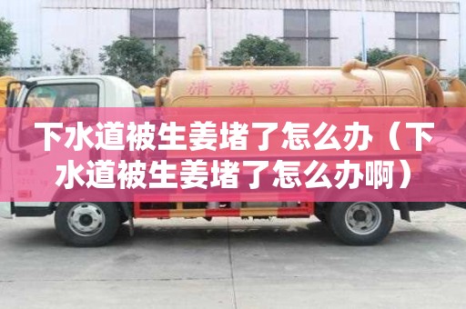 下水道被生姜堵了怎么辦（下水道被生姜堵了怎么辦啊）