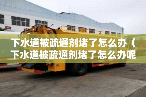 下水道被疏通劑堵了怎么辦（下水道被疏通劑堵了怎么辦呢）